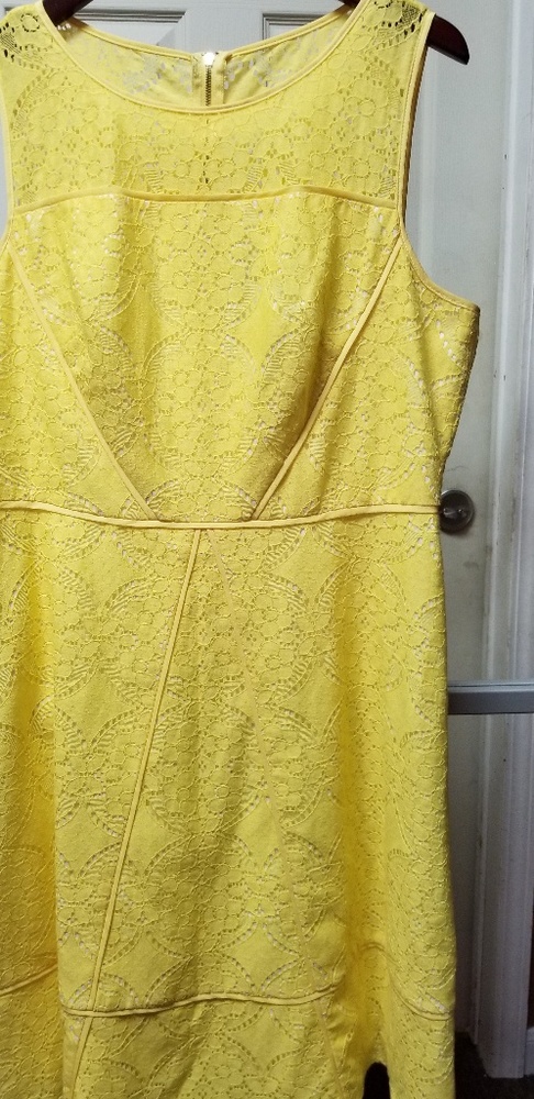 NWOT Andrianna Papell yellow lace flay dress